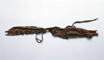 Frammento di pelle trovato con l